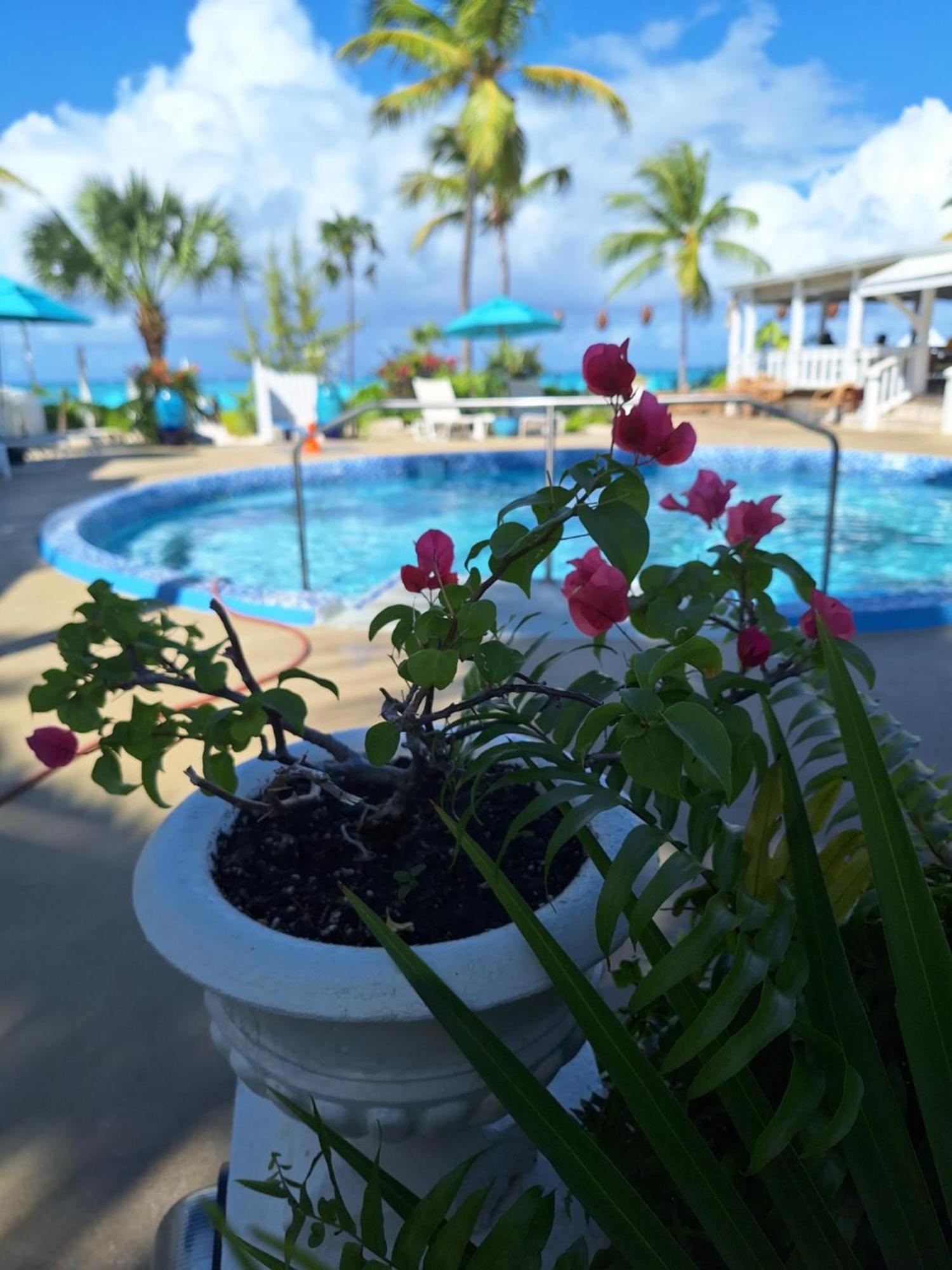 Sibonne Beach Hotel Grace Bay Exteriér fotografie